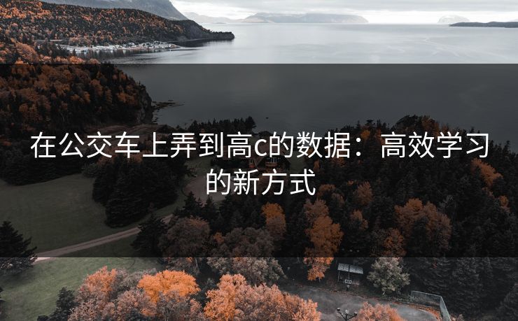 在公交车上弄到高c的数据：高效学习的新方式