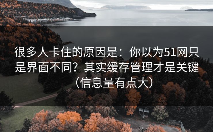 很多人卡住的原因是：你以为51网只是界面不同？其实缓存管理才是关键（信息量有点大）